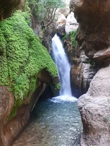 تولیدی ماسک پارادایس