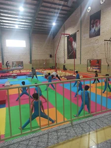 آکادمی ژیمناستیک ناهید مصدقیان