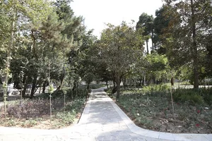 بوستان باران