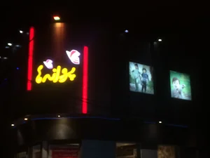 پوشاک پروانه‌ها