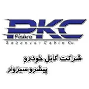 فروشگاه کابل خودرو پیشرو سبزوار ( PKC ) 2