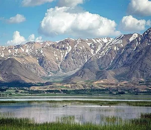 رستوران برادران