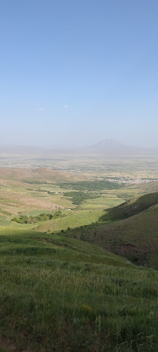 چال نام دار