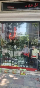 گل فروشی مژگان 4