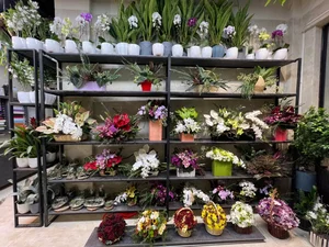 گل فروشی میثم