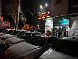 سیستم امنیتی حفاظتی شایسته
