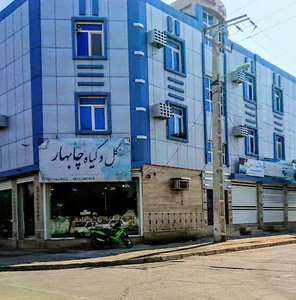 فروشگاه گل و گیاه چابهار