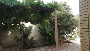 مطب دکتر سلطانی