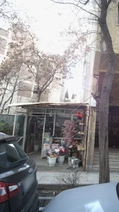 گلفروشی پدرام 5