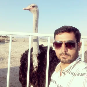 مزرعه پرورش شترمرغ نجفی