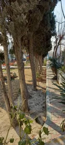 پارک شهرداری 2