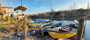 اسکله تفریحی گردشگری خیزران سبز تالاب