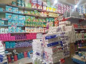 شوینده بهداشتی پاک لند پلاس