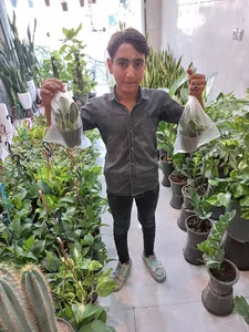 فروشگاه چی چی گُل