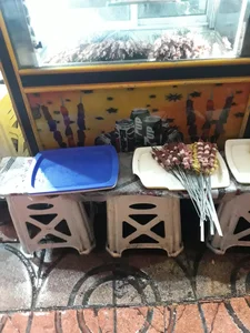 جگرکی داریوش 2