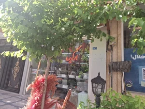 گل ارکید‌ه 2
