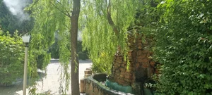 باغ رستوران رز 3