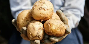 صبحانه خوری و کبابی گبگوب