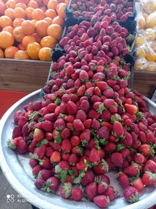فروشگاه میوه انلاین 2