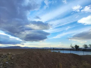 گلخانه علیدوستی