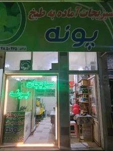 سبزی جات آماده به طبخ پونه 3