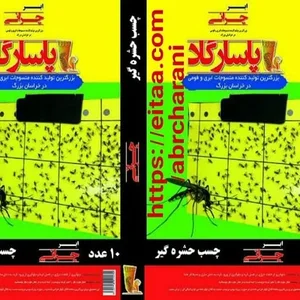 ابروتشک طبی