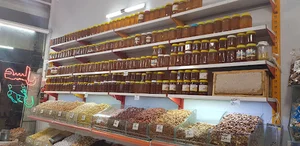 رضا فروغی زاده