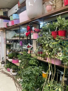 گل فروشی افشین 2