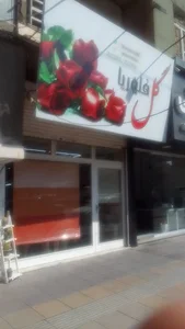 گل فلوریا
