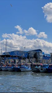 صیادی