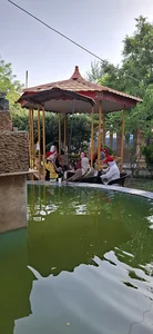 کافه و رستوران باغ تینو