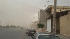 املاک امین