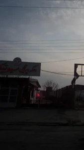 دهکده پروتئین سیوتیکا 3