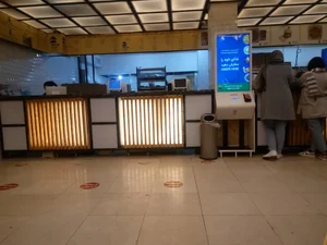 سربرگر 3