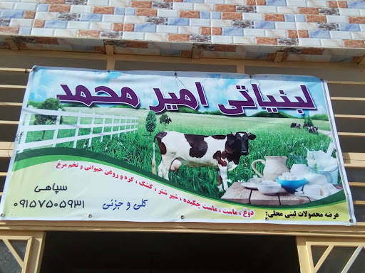 لبنیاتی امیر محمد