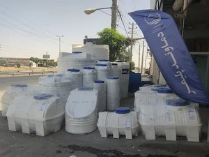 ماهی قزل آلا زنده ورامینی