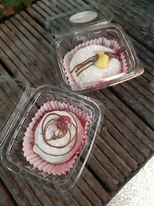 سرزمین موچی مائی