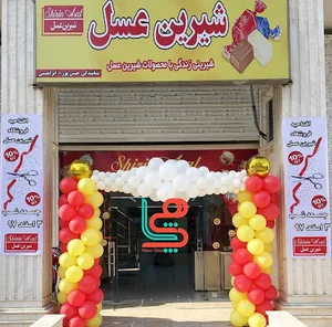 نمایندگی شیرین عسل