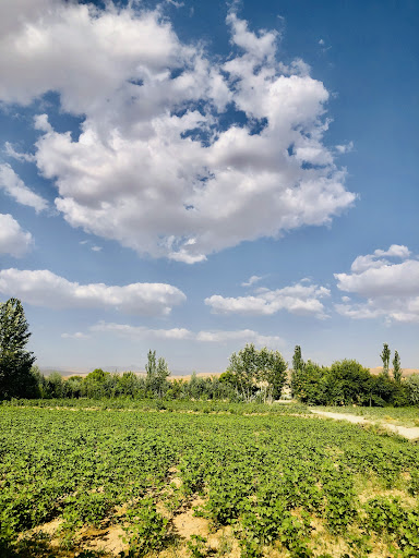 ولسوالی شولگره