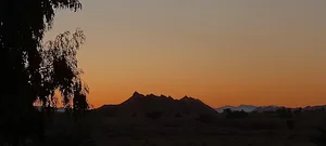 مد میری باغ سید