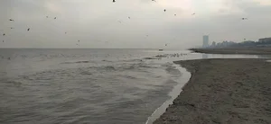 پیاده روی ساحلی