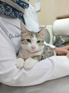 کلینیک دامپزشکی و پت شاپ دایا