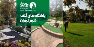 مینی زون