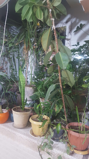 سوپر مارکت مهدی
