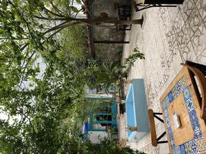 کافه قدیم 2