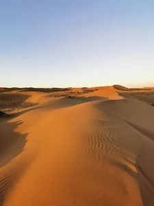 بند ریگ