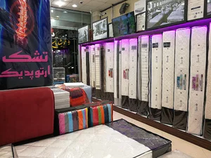 تشک زست