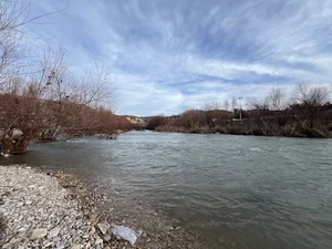 رودخانه بشار