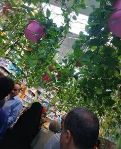 داروخانه دکتر امیدی