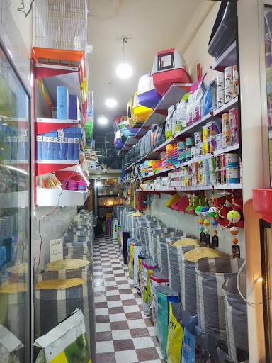 آذر دانه